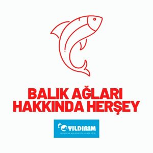 NO:4 YUMURTA BEYAZ KÖPÜK MANTAR 100 LÜ PAKET